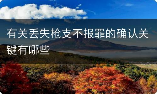 有关丢失枪支不报罪的确认关键有哪些