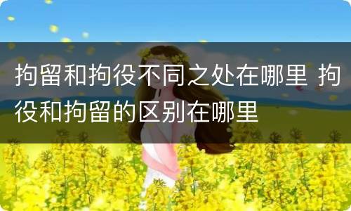 拘留和拘役不同之处在哪里 拘役和拘留的区别在哪里