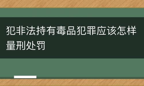 犯非法持有毒品犯罪应该怎样量刑处罚