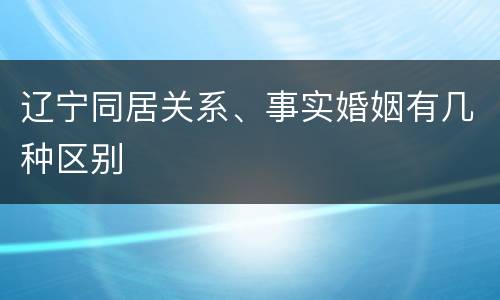 辽宁同居关系、事实婚姻有几种区别