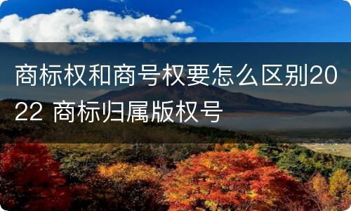 商标权和商号权要怎么区别2022 商标归属版权号