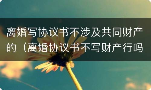 离婚写协议书不涉及共同财产的（离婚协议书不写财产行吗）