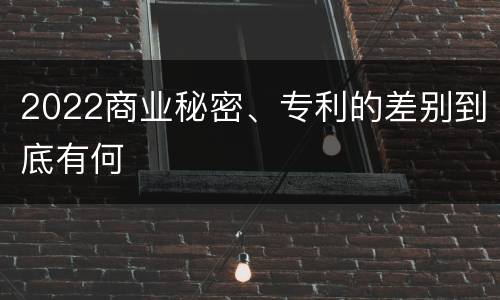 2022商业秘密、专利的差别到底有何