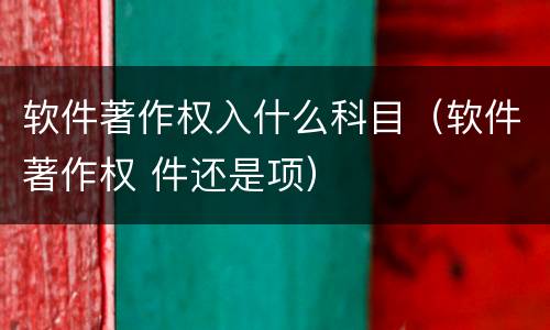 软件著作权入什么科目（软件著作权 件还是项）