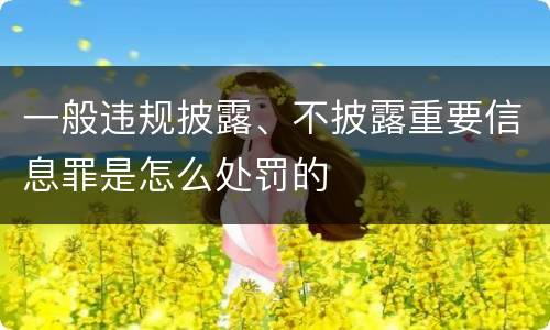 一般违规披露、不披露重要信息罪是怎么处罚的