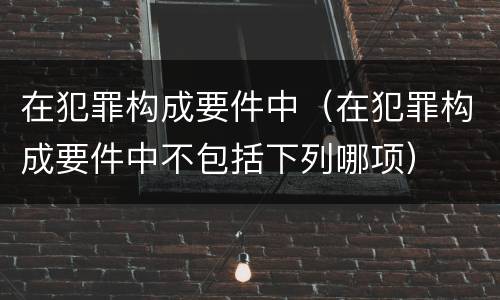 在犯罪构成要件中（在犯罪构成要件中不包括下列哪项）