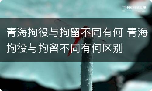 青海拘役与拘留不同有何 青海拘役与拘留不同有何区别