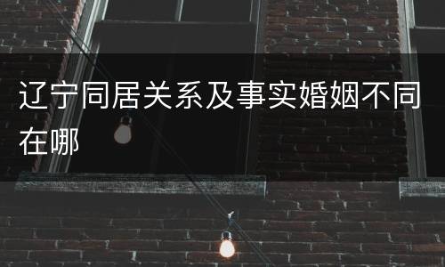 辽宁同居关系及事实婚姻不同在哪