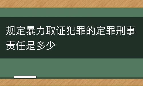 规定暴力取证犯罪的定罪刑事责任是多少