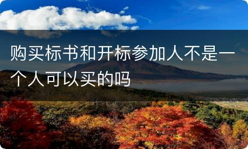 购买标书和开标参加人不是一个人可以买的吗