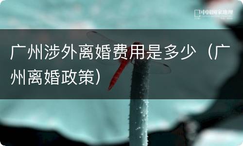广州涉外离婚费用是多少（广州离婚政策）
