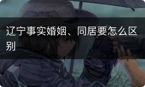 辽宁事实婚姻、同居要怎么区别