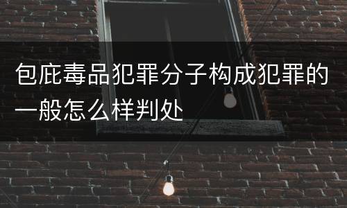包庇毒品犯罪分子构成犯罪的一般怎么样判处