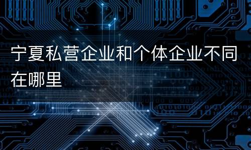 宁夏私营企业和个体企业不同在哪里