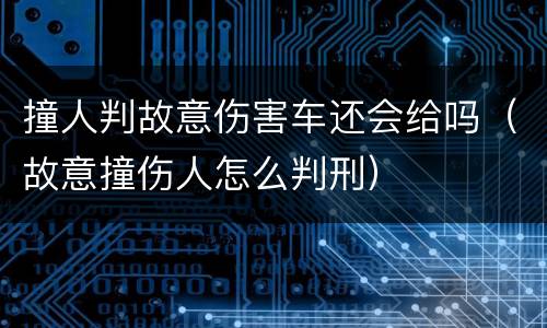 撞人判故意伤害车还会给吗（故意撞伤人怎么判刑）