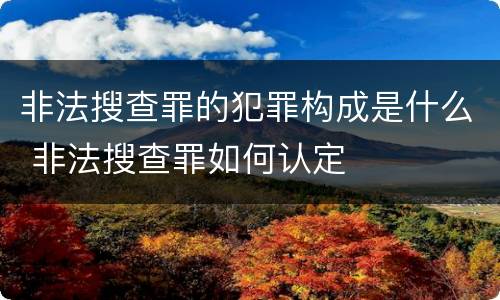 非法搜查罪的犯罪构成是什么 非法搜查罪如何认定