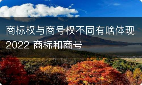 商标权与商号权不同有啥体现2022 商标和商号