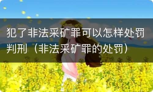 犯了非法采矿罪可以怎样处罚判刑（非法采矿罪的处罚）