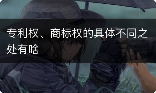 专利权、商标权的具体不同之处有啥