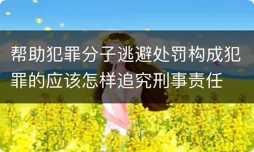 帮助犯罪分子逃避处罚构成犯罪的应该怎样追究刑事责任