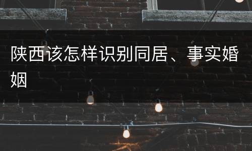 陕西该怎样识别同居、事实婚姻