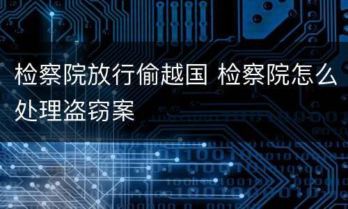 检察院放行偷越国 检察院怎么处理盗窃案