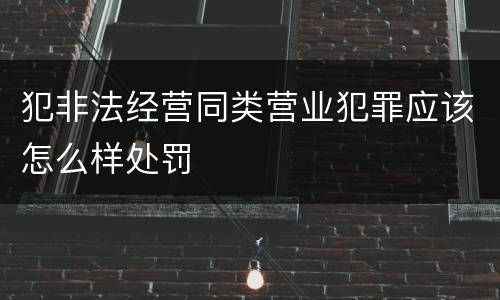 犯非法经营同类营业犯罪应该怎么样处罚