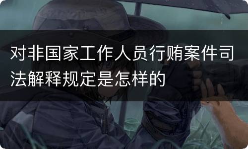 对非国家工作人员行贿案件司法解释规定是怎样的