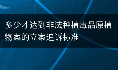 多少才达到非法种植毒品原植物案的立案追诉标准