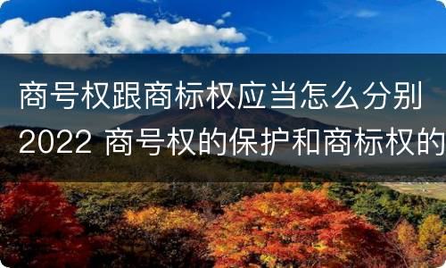 商号权跟商标权应当怎么分别2022 商号权的保护和商标权的保护一样是全国性范围的