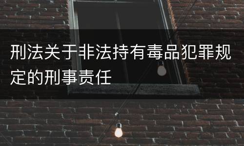 刑法关于非法持有毒品犯罪规定的刑事责任