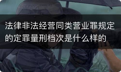 法律非法经营同类营业罪规定的定罪量刑档次是什么样的