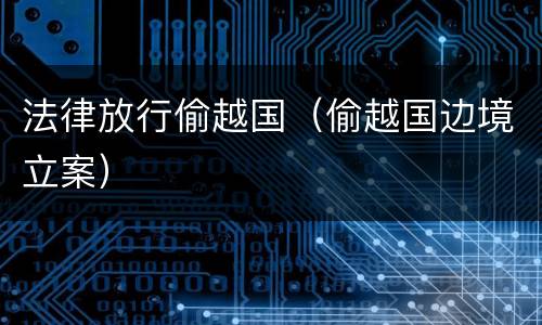 法律放行偷越国（偷越国边境立案）