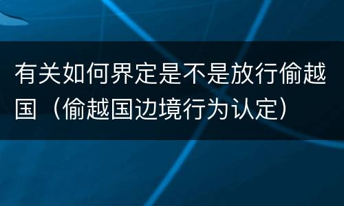 有关如何界定是不是放行偷越国（偷越国边境行为认定）