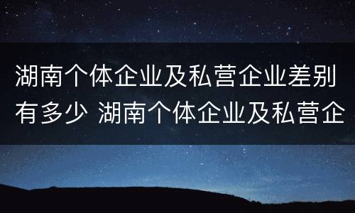 湖南个体企业及私营企业差别有多少 湖南个体企业及私营企业差别有多少个