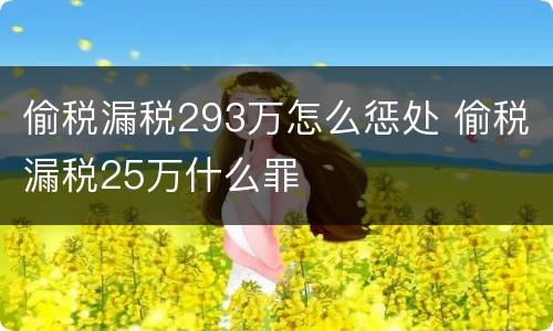偷税漏税293万怎么惩处 偷税漏税25万什么罪