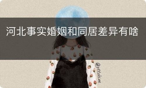 河北事实婚姻和同居差异有啥