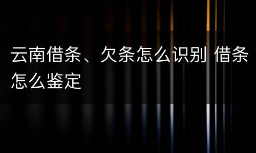 云南借条、欠条怎么识别 借条怎么鉴定