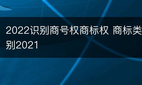 2022识别商号权商标权 商标类别2021