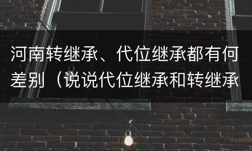 河南转继承、代位继承都有何差别（说说代位继承和转继承的区别）
