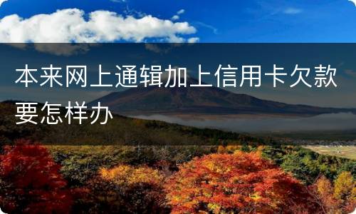 本来网上通辑加上信用卡欠款要怎样办