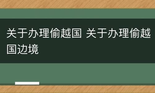关于办理偷越国 关于办理偷越国边境