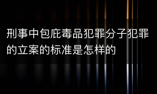 刑事中包庇毒品犯罪分子犯罪的立案的标准是怎样的
