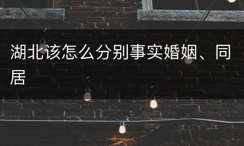 湖北该怎么分别事实婚姻、同居