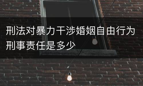 刑法对暴力干涉婚姻自由行为刑事责任是多少