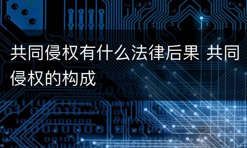 共同侵权有什么法律后果 共同侵权的构成