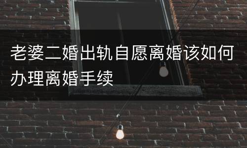 老婆二婚出轨自愿离婚该如何办理离婚手续