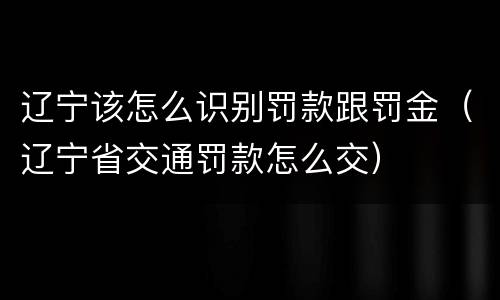 辽宁该怎么识别罚款跟罚金（辽宁省交通罚款怎么交）
