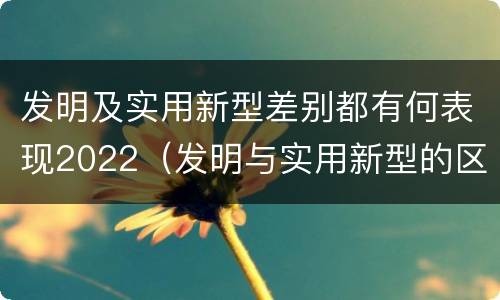 发明及实用新型差别都有何表现2022（发明与实用新型的区别有哪些）