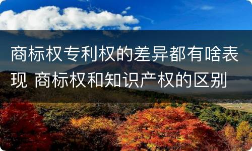 商标权专利权的差异都有啥表现 商标权和知识产权的区别